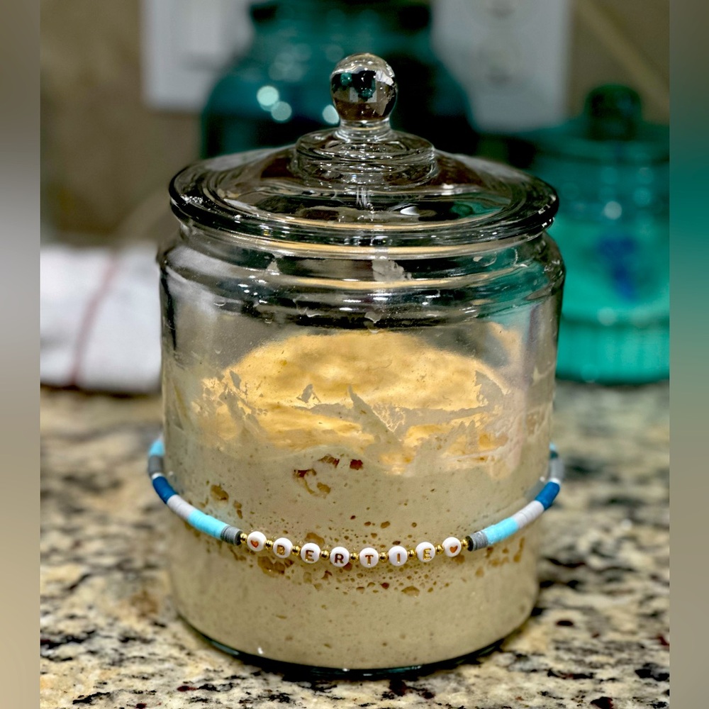 Beaded Bracelet with Custom Letters for your Sourdough Starter!